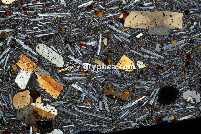 Basalte demi-deuil LPA x1,5 - gryphea.org